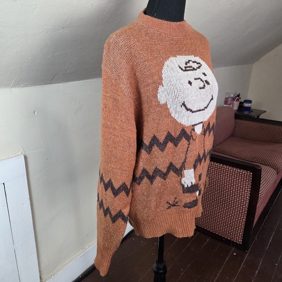 Vintage 70s Peanuts Charlie Brown Sweater L Arrow World’s Greatest Knit Rare - Picture 3 of 16